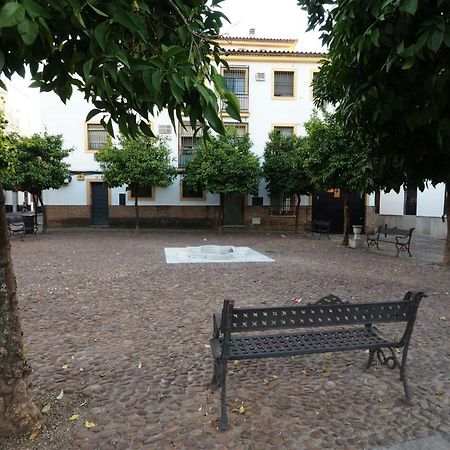 Calle Abejar,Plaza コルドバ エクステリア 写真